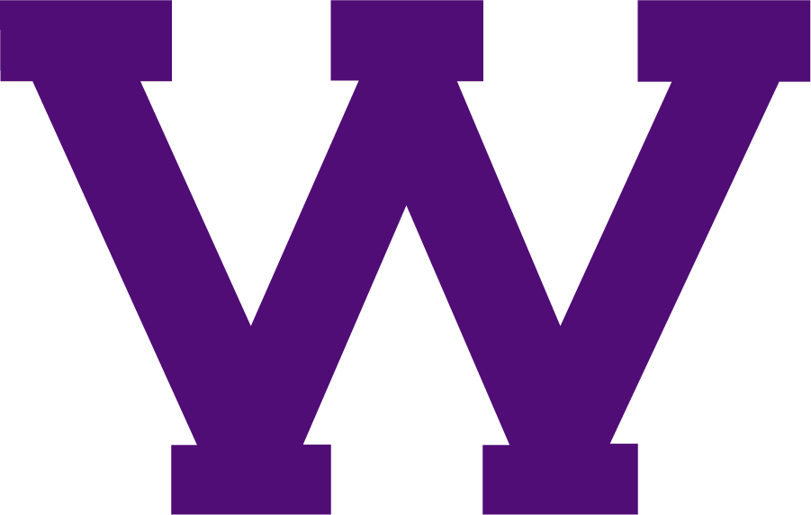 Western Illinois Leathernecks 2017-Pres Secondary Logo diy DTF decal sticker